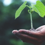The Mindset Makeover: Unleashing Your Potential for Success